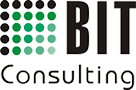 Logo BIT Consulting